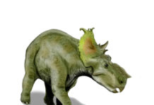 First-ever glow-in-the-dark collector coin