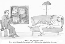 Our Cartoon: Franklin’s World