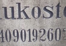 Making the Case for the Gold Standard: The Coins of Josef Wild