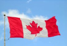New Master of the Royal Canadian Mint Appointed