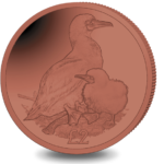 01b_BIOT-BOOBY-TITANIUM-2019