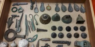 IADAA Evaluates 2017 WCO Report