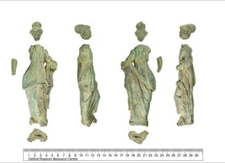 Record-Breaking Year for Treasures Discovered by the Public