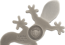 Natural Perspectives: Gecko