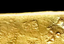 Daniel Frank Sedwick, USA-Winter Park, FL