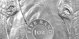 Elephant Starts Off “Big Five” Series