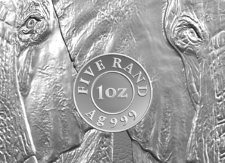 Elephant Starts Off “Big Five” Series