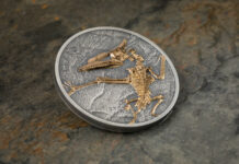 CIT’s New Evolution Coin: Pterosaur