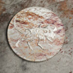 00_28770_Prehistoric Beasts 2019 – Protoceratops_s1