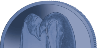 Pobjoy mints Emperor Penguin in Blue Titanium