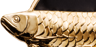 Dragonfish – Golden Arowana