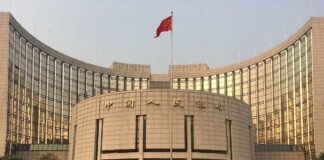 China invites submissions for collector coin designs