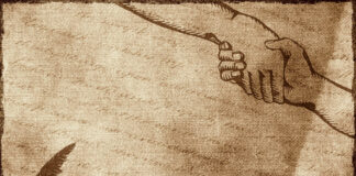 The Year of the Dealer