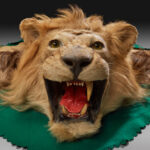 00rba_d051457_04_klein