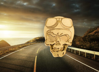 Biker Skull