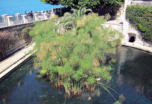 Sicilian Mosaic Part 8: Athens intervenes on Sicily