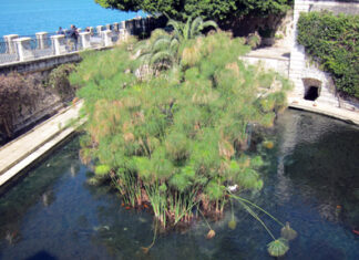 Sicilian Mosaic Part 8: Athens intervenes on Sicily