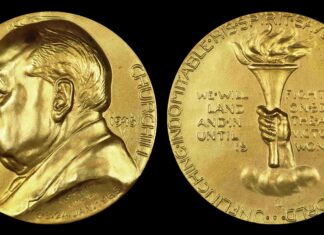 Mowbray Collectables, NZ-Wellington