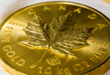 A Big “Maple Leaf”, But Not a “Big Maple Leaf”