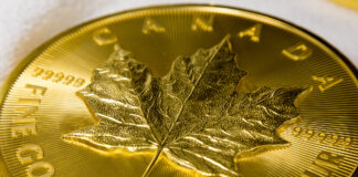 A Big “Maple Leaf”, But Not a “Big Maple Leaf”