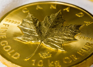 A Big “Maple Leaf”, But Not a “Big Maple Leaf”