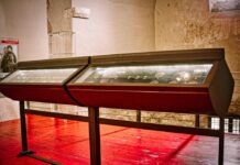 Theft in Sovana: Lists of Stolen Coins Have Been Published