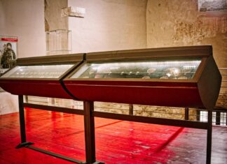 Theft in Sovana: Lists of Stolen Coins Have Been Published