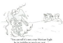 Our Cartoon: Franklin’s World