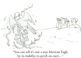 Our Cartoon: Franklin’s World