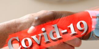 Numismatic Events Cancelled or Postponed