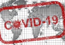 Coin and Banknote Markets Strong Amid Global Crisis