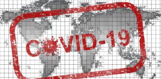 Coin and Banknote Markets Strong Amid Global Crisis