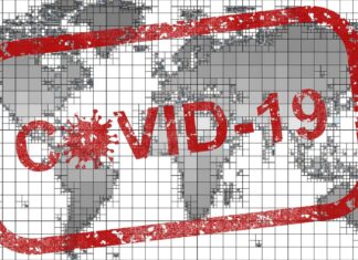 Coin and Banknote Markets Strong Amid Global Crisis