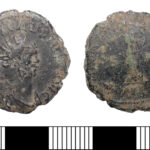 03_Carausius