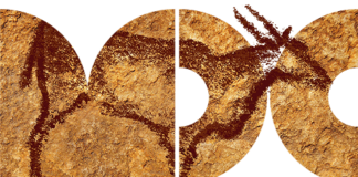 MDC Postponed to 2021