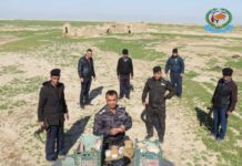 Success in the Fight Against the Faked Antiquities Market