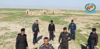 Success in the Fight Against the Faked Antiquities Market