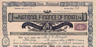 Survey on Collector Preferences