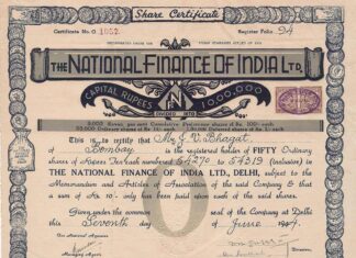 Survey on Collector Preferences