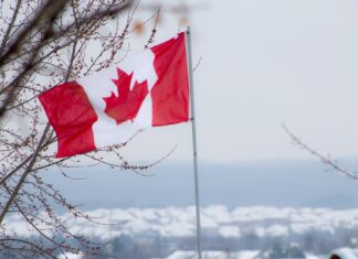 Royal Canadian Mint Reports Financial Results for 2019 and Q1 2020