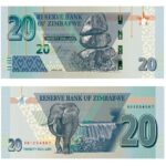 01_ZIM 2020 $20 pair