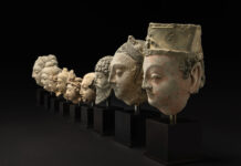 “The Primary Task Is Documentation of Collections”