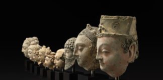 “The Primary Task Is Documentation of Collections”