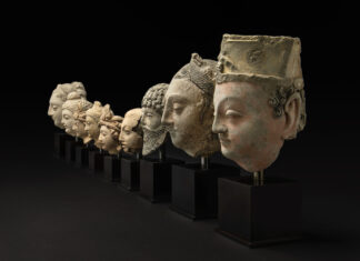 “The Primary Task Is Documentation of Collections”