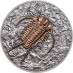 11b_27786_Evolution of Life 2016 – Trilobite_r