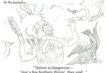 Our Cartoon: Franklin’s World