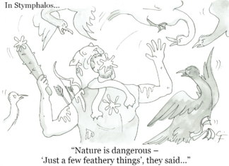 Our Cartoon: Franklin’s World