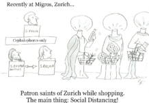 Our Cartoon: Franklin’s World