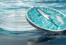 CIT – Great White Shark