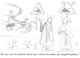 Our Cartoon: Franklin’s World